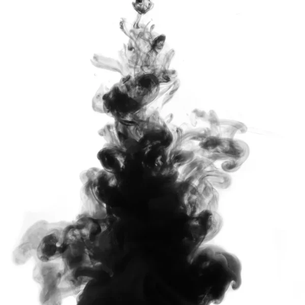 16 niyq.webp