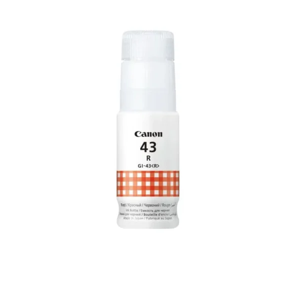 gi 43r 1 i3ez.webp